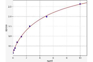 Caspase 10 ELISA Kit