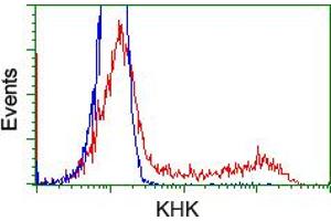 HEK293T cells transfected with either RC202424 overexpress plasmid (Red) or empty vector control plasmid (Blue) were immunostained by anti-KHK antibody (ABIN2453197), and then analyzed by flow cytometry.