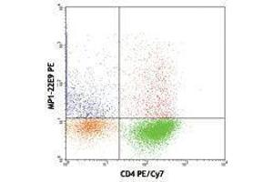 Flow Cytometry (FACS) image for anti-Colony Stimulating Factor 2 (Granulocyte-Macrophage) (CSF2) antibody (PE) (ABIN2663708) (GM-CSF antibody  (PE))