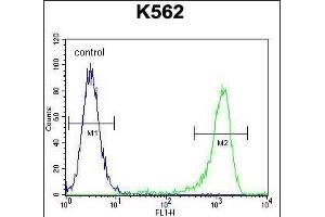 MLH1 Antibody (Center) (ABIN655632 and ABIN2845111) flow cytometric analysis of K562 cells (right histogram) compared to a negative control cell (left histogram). (MLH1 antibody  (AA 452-480))