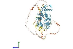 Protein Structure (PS) image for RB-Associated KRAB Zinc Finger (RBAK) (AA 1-714) protein (His tag) (ABIN7551254)