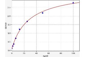 Typical standard curve (GGT1 ELISA Kit)