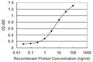 RGS14 antibody  (AA 1-566)