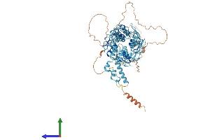 Protein Structure (PS) image for Zinc Finger Protein 470 (ZNF470) (AA 1-717) protein (His tag) (ABIN7545467)