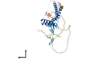 AlphaFold protein structure predicition of Human Recombinant ELL3 Protein, UniprotID Q9HB65