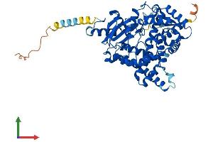 AlphaFold protein structure predicition of Mouse Recombinant Cyp19a1 Protein, UniprotID P28649 (Aromatase Protein (AA 1-503) (His tag))