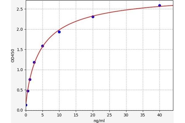 GSK3 alpha ELISA Kit