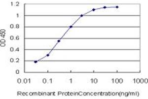 Detection limit for recombinant GST tagged MDM2 is approximately 0. (MDM2 antibody  (AA 101-200))