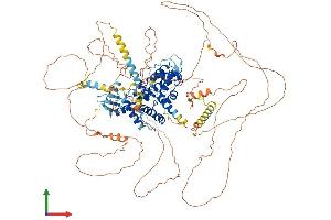 AlphaFold protein structure predicition of Mouse Recombinant Arhgap6 Protein, UniprotID O54834