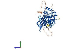 AlphaFold protein structure predicition of Mouse Recombinant Stk17b Protein, UniprotID Q8BG48