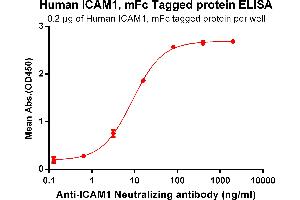 ELISA plate pre-coated by 2 μg/mL (100 μL/well) Human I, mFc tagged protein (ABIN6961122, ABIN7042273 and ABIN7042274) can bind Anti-I Antibody ABIN7093055 and ABIN7272585 in a linear range of 0. (ICAM1 Protein (AA 48-480) (mFc Tag))