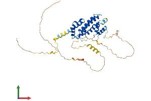 Protein Structure (PS) image for Proline Rich 5 Like (PRR5L) (AA 1-368) protein (His tag) (ABIN7550944)