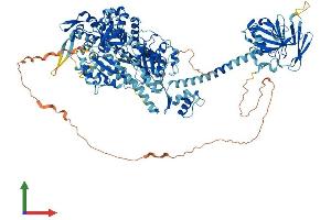 Protein Structure (PS) image for Myosin IE (MYO1E) (AA 1-1107) protein (His tag) (ABIN7562130)