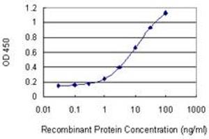 Detection limit for recombinant GST tagged CUEDC1 is 0. (CUEDC1 antibody  (AA 1-386))
