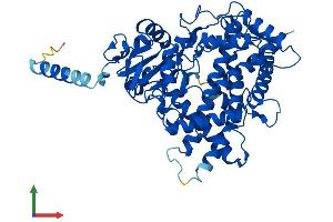 AlphaFold protein structure predicition of Human Recombinant CYP1A1 Protein, UniprotID P04798 (CYP1A1 Protein (AA 1-512) (His tag))