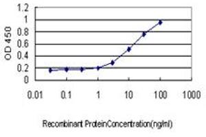 Detection limit for recombinant GST tagged EGFL7 is approximately 0. (EGFL7 antibody  (AA 24-273))