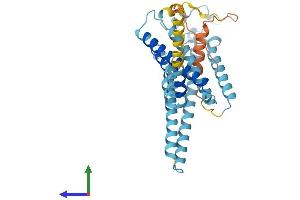 Protein Structure (PS) image for Lysophosphatidic Acid Receptor 2 (LPAR2) (AA 1-348) protein (His tag) (ABIN7561658)