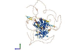 AlphaFold protein structure predicition of Mouse Recombinant Agbl3 Protein, UniprotID Q8CDP0