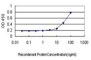 Detection limit for recombinant GST tagged BANF1 is approximately 1ng/ml as a capture antibody. (BANF1 antibody  (AA 1-89))