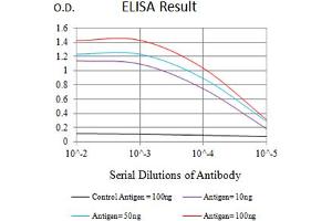Black line: Control Antigen (100 ng),Purple line: Antigen (10 ng), Blue line: Antigen (50 ng), Red line:Antigen (100 ng) (PVRL2 antibody  (AA 58-212))