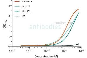 Direct ELISA of SARS-CoV-2 variant proteins with anti-SARS-CoV-2 Spike S1 antibody ABIN6952976. (SARS-CoV-2 Spike S1 antibody)