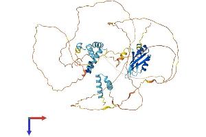 CSTF2T Protein (AA 1-616) (His tag)
