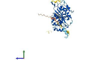 Protein Structure (PS) image for UDP-Gal:betaGlcNAc beta 1,4- Galactosyltransferase, Polypeptide 3 (B4GALT3) (AA 1-393) protein (His tag) (ABIN7552567)