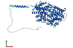 AlphaFold protein structure predicition of Mouse Recombinant Ece1 Protein, UniprotID Q4PZA2