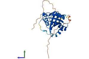 AlphaFold protein structure predicition of Human Recombinant RAB41 Protein, UniprotID Q5JT25