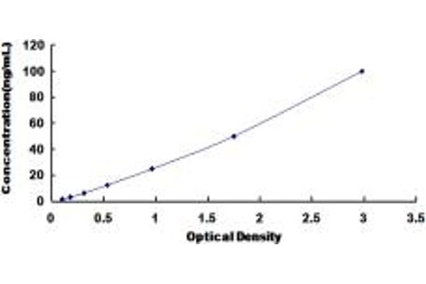 AFMID ELISA Kit