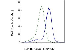 Validation of Seh1L knockdown using flow cytometry.
