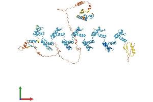 Protein Structure (PS) image for Zinc Finger Protein 347 (ZNF347) (AA 1-839) protein (His tag) (ABIN7545266)