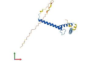 Protein Structure (PS) image for Twist Homolog 2 (TWIST2) (AA 1-160) protein (His tag) (ABIN7560812)