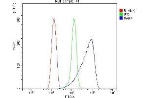 Flow Cytometry analysis of Hela cells using anti-Rab9/RAB9A antibody (ABIN7601611).