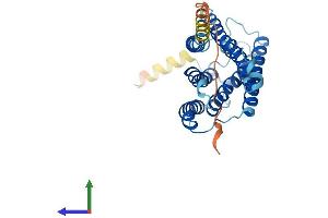 AlphaFold protein structure predicition of Human Recombinant ELOVL5 Protein, UniprotID Q9NYP7 (ELOVL5 Protein (AA 1-299) (His tag))