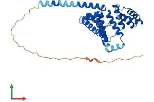Protein Structure (PS) image for Regulator of Microtubule Dynamics 1 (RMDN1) (AA 1-305) protein (His tag) (ABIN7561360)
