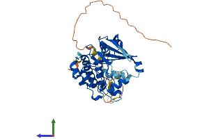 Protein Structure (PS) image for Aurora Kinase B (AURKB) (AA 1-344) protein (His tag) (ABIN7552497)