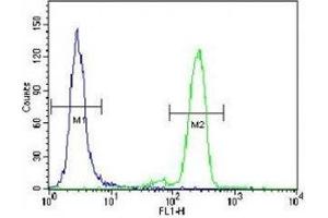 PML antibody flow cytometric analysis of HeLa cells (right histogram) compared to a negative control (left histogram). (PML antibody  (Sumoylation Site))