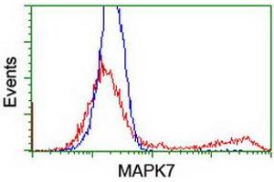 HEK293T cells transfected with either RC203506 overexpress plasmid (Red) or empty vector control plasmid (Blue) were immunostained by anti-MAPK7 antibody (ABIN2454050), and then analyzed by flow cytometry. (MAPK7 antibody)