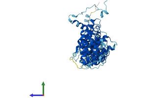 AlphaFold protein structure predicition of Human Recombinant NOC4L Protein, UniprotID Q9BVI4 (NOC4L Protein (AA 1-516) (His tag))