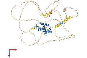 FOXD3 Protein (AA 1-465) (His tag)