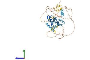AlphaFold protein structure predicition of Human Recombinant ZBTB8B Protein, UniprotID Q8NAP8