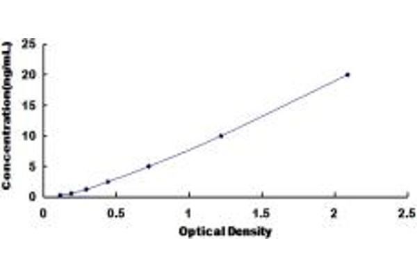DAB1 ELISA Kit