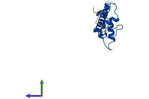 AlphaFold protein structure predicition of Mouse Recombinant H2az2 Protein, UniprotID Q3THW5 (H2AFV Protein (AA 1-128) (His tag))
