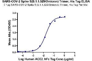 Immobilized SARS-COV-2 Spike S (B. (SARS-CoV-2 Spike Protein (B.1.1.529 - Omicron, Trimer) (His tag))