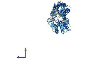 AlphaFold protein structure predicition of Mouse Recombinant Slc43a2 Protein, UniprotID Q8CGA3 (SLC43A2 Protein (AA 1-568) (His tag))