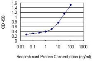 Detection limit for recombinant GST tagged TM9SF2 is 0. (TM9SF2 antibody  (AA 116-215))