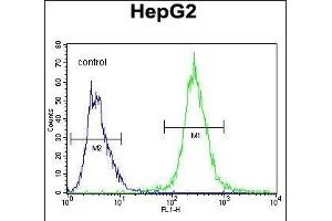 LB2 Antibody (Center) (ABIN655634 and ABIN2845113) flow cytometric analysis of HepG2 cells (right histogram) comred to a negative control cell (left histogram).