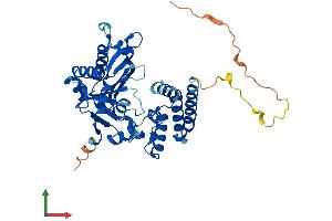 AlphaFold protein structure predicition of Mouse Recombinant Tent5c Protein, UniprotID Q5SSF7 (FAM46C Protein (AA 1-391) (His tag))
