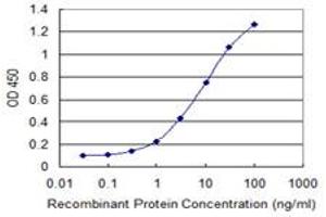 Detection limit for recombinant GST tagged NKRF is 0. (NKRF antibody  (AA 591-690))